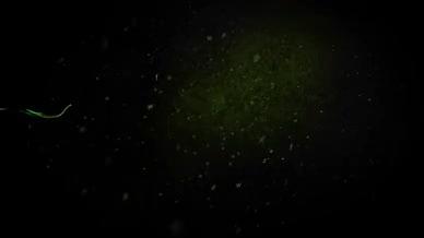 粒子飘动文字标题开场Dreamscape视频的预览图